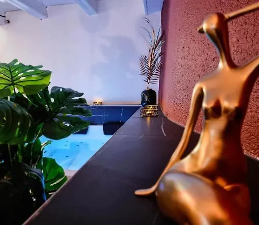 Majord'Home Spa 4*- Le Macaron -Coeur Vieille Ville Annecy France